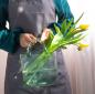 Preview: Muxing Glas Blumenvase Handtasche geformt klar Vase Aquarium