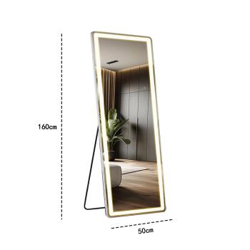 Preview: Muxing Spiegel langer Spiegel Ankleidespiegel LED-Spiegel Standspiegel Ganzkörperspiegel großer Spiegel Silber 160*50cm【JXJ27】
