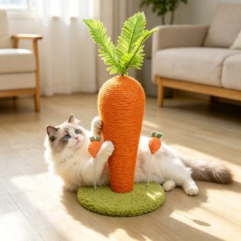 Muxing Katzenspielzeug Katzenkratzbrett, Kratzspielzeug für Katzen und Kätzchen, Kittenspielzeug zum Krallenwetzen, Indoor-Katzenzubehör