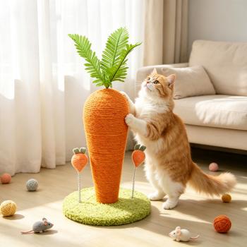 Muxing Katzenspielzeug Katzenkratzbrett, Kratzspielzeug für Katzen und Kätzchen, Kittenspielzeug zum Krallenwetzen, Indoor-Katzenzubehör