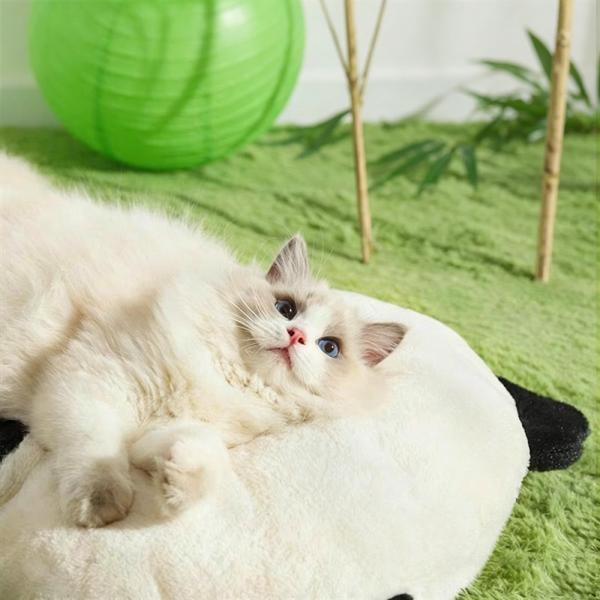 MuXing Katzenbett Hundebett, weiche Haustier-Schlafmatte für Katzen und kleine Hunde, gemütliches Haustierbett als Schlafplatz 76 × 63 cm /HZHY-76/